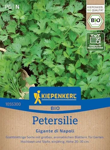 Kiepenkerl Petersiliensamen Gigante di Napoli 1055300 - BIO - Glattblättrige Sorte mit großen aromatischen Blättern - Pflanzen Samen, Saatgut, Kräutersamen