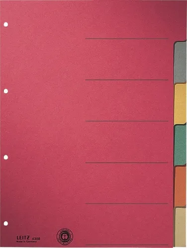 LEITZ Aktenordner Register A4 blanko 230g/qm Karton 6-teilig (25 Stück)
