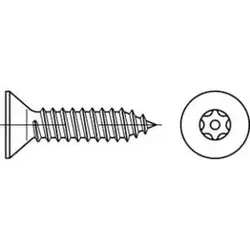 Diebstahlhemmende Senkkopfschraube VG 4,8x25 Edelstahl A2 blank TX-TR T25