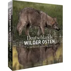 Bildband: Deutschlands wilder Osten - Umweltwissenschaft: Faszinierende Porträts wilder Tiere in freier Wildbahn mit einzigartigen Fotos sehr seltener, fast ausgestorbener Arten.