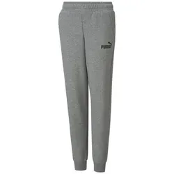 PUMA Trainingshose Puma Jungen Trainingshose ESS Logo Pants FL cl B 586973 grau 128