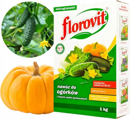 Dünger für Kürbis