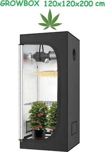 JUNG Growbox Growzelt 120x120x200 cm – Premium Indoor-Anbauzelt - Maximale Lichtausbeute dank 97 % reflektierender Mylar-Beschichtung. Robustes, wasserdichtes Material mit einfacher Montage und optimaler Pflege für Ihre Pflanzen.