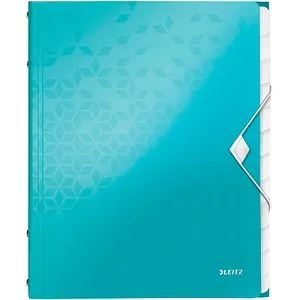 LEITZ Ordnungsmappe WOW 4634 12 Fächer blau, 1 St.