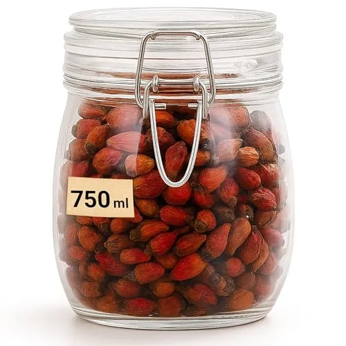 La Home by Chris Einmachglas mit Drahtbügel - Vorratsglas mit Deckel & Dichtung, geeignet zum Befüllen & Einmachen (1, 750ml)
