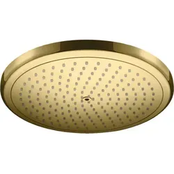 hansgrohe 26220990 1jet Kopfbrause, polished gold optic in gold von Hansgrohe