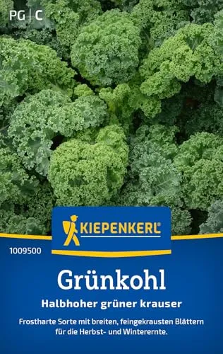 Kiepenkerl Grünkohlsamen Halbhoher grüner krauser 1009500 von Kiepenkerl