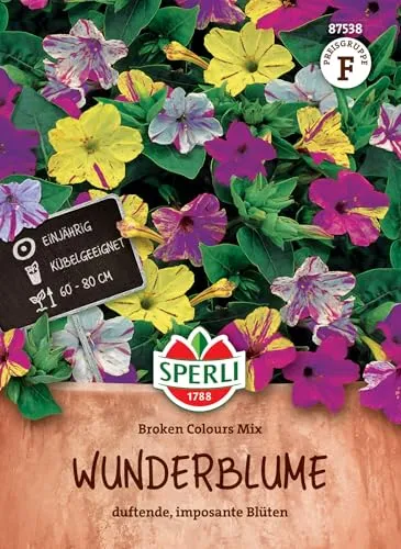 SPERLI Wunderblumensamen Broken Colours Mix von SPERLI
