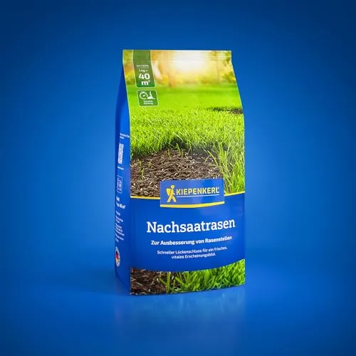 Kiepenkerl Nachsaat-Rasensamen 1085252, Rasensaat | Schneller Lückenschluss, Saatgut Made in Germany
