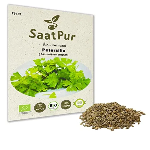 Petersilie BIO Keimsaat Keimsprossen von SaatPur - Sprossen Microgreen - 20g Samen Mikrogrün Kräuter Küche