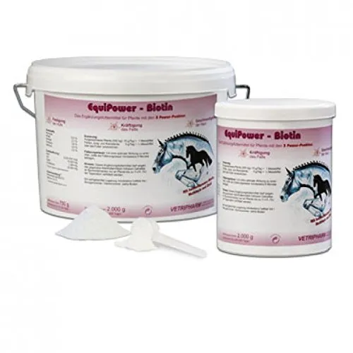 EquiPower Biotin 750g