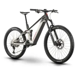RAYMON Tarok E-Mountainbike von R Raymon