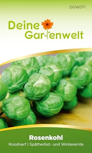 Rosenkohl Roodnerf Samen - Brassica oleracea - Rosenkohlsamen - Gemüsesamen - Saatgut für 80 Pflanzen
