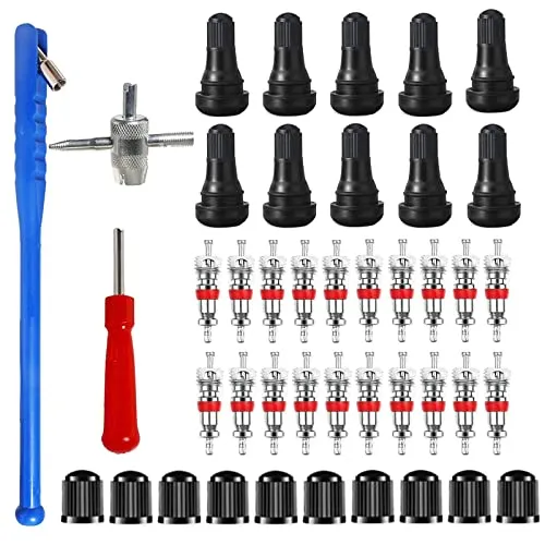 HUAZIZ 43 Pcs Reifenventilentferner Reifenreparatur Werkzeug Ventilwerkzeuge Set 20x Ventilkern10xReifenventilkappen 4 in1 Reparatur-Werkzeug 1x Einkopf Ventil Entferner 1xVentileinziehhebel 10xTR412