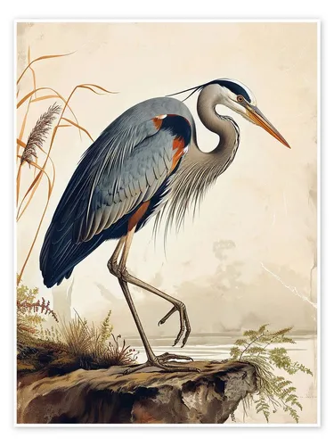 Posterlounge Wandbild Großer Blaureiher nach Audubon, TAlex, erhältlich als Poster, Leinwandbild, Wandsticker oder Acrylglasbild