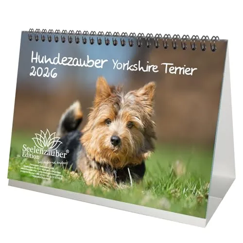 Seelenzauber Hundezauber Yorkshire Terrier DIN A5 Tischkalender für 2026 Welpen und Hunde