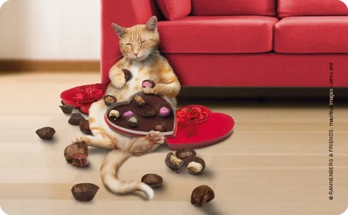 Frühstücksbrettchen – „Naschkatze“