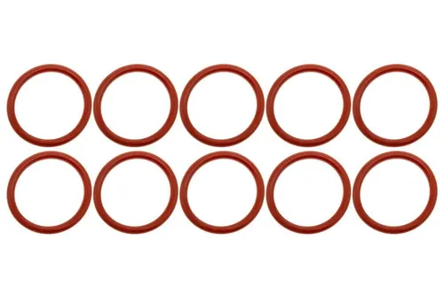 Piebert Dichtungsring 10x O-Ring Dichtungen für DeLonghi EAM, ECAM, ESAM, ETAM Brühgruppen