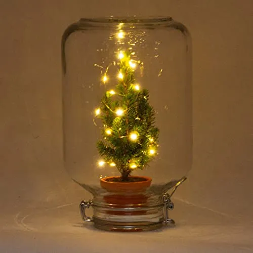 urbanjngl.com - Easyplant - Mini-Weihnachtsbaum - Flaschengarten mit Licht Weihnachten - ↑ 28 cm