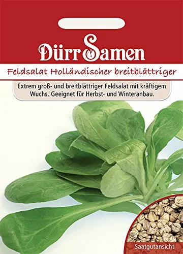 Dürr-Samen - Feldsalat Holländer Saatgut