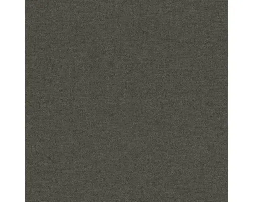 Vliestapete 449853 Kalahari & Salsa Uni kohlschwarz in schwarz von Rasch