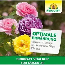 Neudorff Biokraft Vitalkur Für Rosen Af - 500 Ml