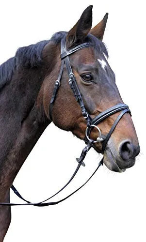 Kerbl Trensenzaum Classic Leder Pony, Braun - Reiten: Hochwertiger Trensenzaum aus braunem Leder mit eleganten Ziernähten, weicher Polsterung und inklusive Gurtzügel – ideal für stilvolle Ausritte.