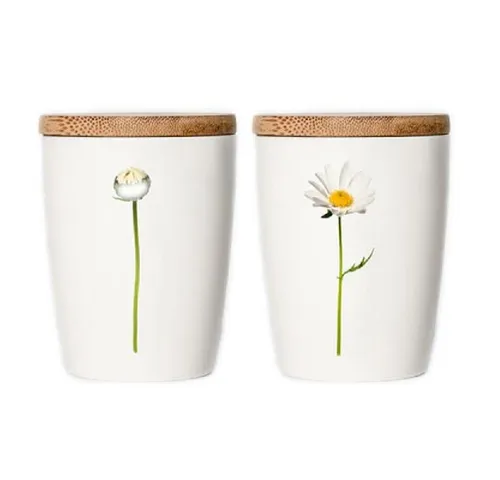 Simply Flowers Tasse Tasse Margerite (Groß)