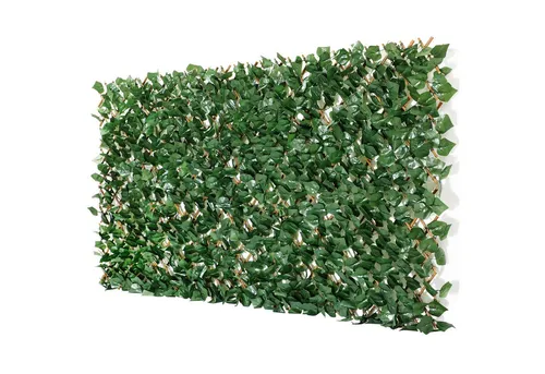 Coradoma Gewürzregal Gitterzaun ausziehbar 100x200cm - Gewürzregale und Sichtschutz in einem, individuell gestaltbar mit täuschend echten Blättern für Wohnzimmer, Garten, Balkon und Terrasse.