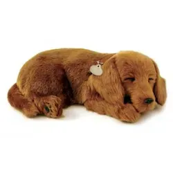 Perfect Petzzz atmendes Dackel-Hundebaby