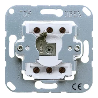 Jung 133.18 Schlüsselschalter, Taster 1-polig - Smart Home (Haussteuerungen) - Robuster Schlüsselschalter mit 10 AX, ideal für sichere Zutrittskontrolle und einfachen Zugang zu Ihren Haussteuerungen.