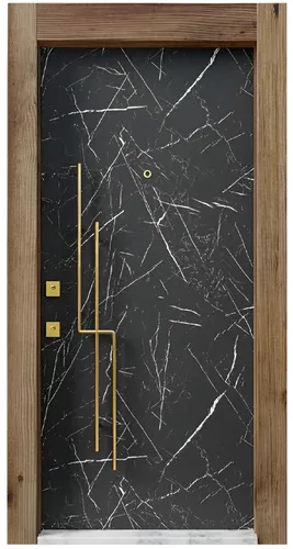 Schwarz-Weiße Eingangstür Designer Hoteltüren Edle Wohnungstüren