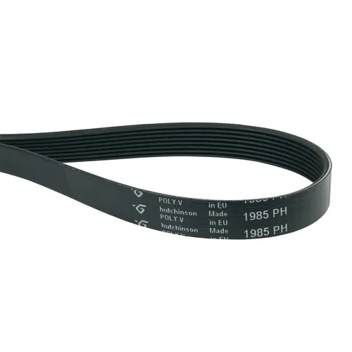 easyPART passend für 10028755 EUROPART Keilriemen Rippen Riemen 1985 PH 8