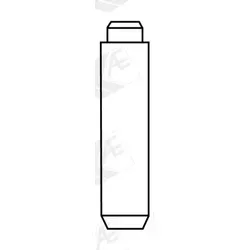 ROM von Team Associated