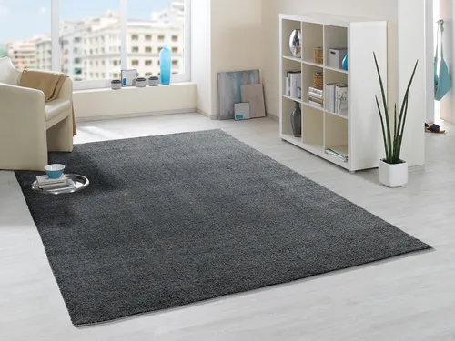 OCI DIE TEPPICHMARKE Hochflor-Teppich Soft Dream - Shaggy-Teppiche in rechteckiger Form mit 30 mm Höhe, besonders weich durch feine Microfaser und ideal für ein gemütliches Wohnzimmer.