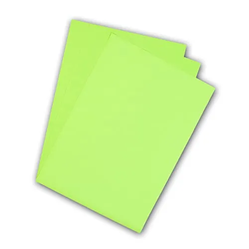 Premium Flex Plotterfolie DIN A4 Textil-Bügelfolie, Farbe:474 LIGHT-GREEN