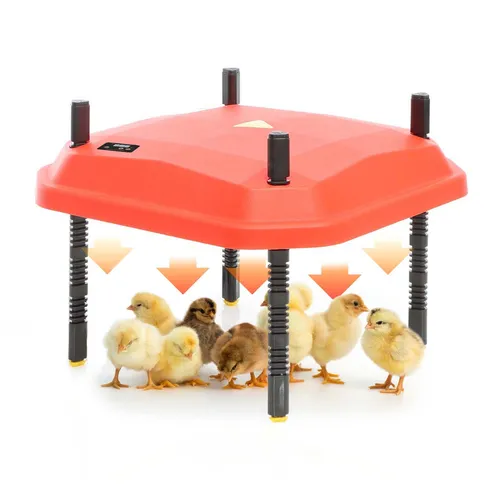 Fudajo Küken-Wärmeplatte 25x25cm