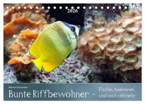 Bianca Schumann | Bunte Riffbewohner - Fische, Anemonen und noch viel mehr...