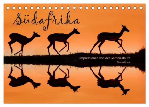 CALVENDO Wandkalender SÜDAFRIKA - Impressionen von der Garden Route (Tischkalender 2026 DIN