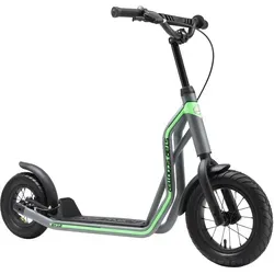 Star-Scooter Cityroller 12 Zoll