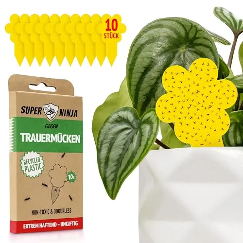 Super Ninja Trauermücken Bekämpfen von Super Ninja