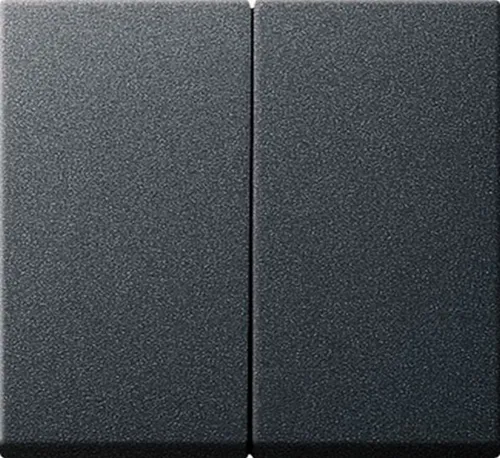 Gira 029528 Serienwippen System 55, anthrazit