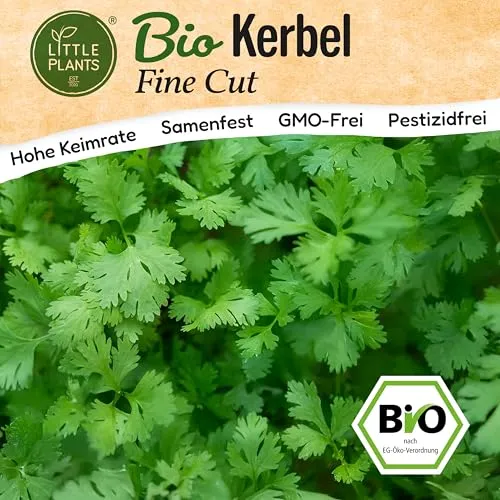 Little Plants BIO Kerbel Fine Cut Samen 300 Kerbelsamen Kräutersamen Samenfest für Kräutergarten Kräuter Samen Küchenkräuter für Küche, Balkon und Garten