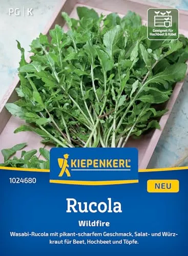 Produktbild Kiepenkerl Rucolasamen Wildfire 1024680