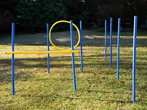 Agility Set für Hunde von Zewool