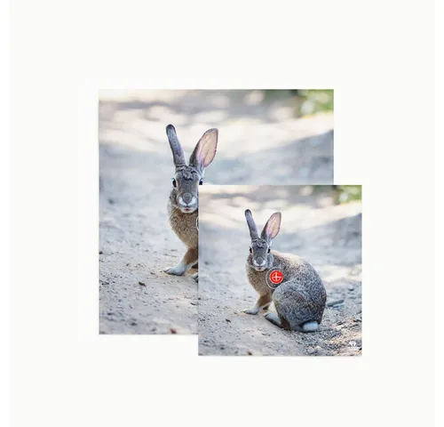 BEARPAW PRODUCTS Zielscheibenauflage Motive von BEARPAW PRODUCTS