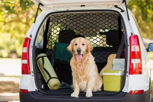 HP Autozubehör 19980 Gepäck- und Kofferraumnetz Passend für Modell (Auto) Universal (L x B) 130cm x 87cm Schwarz