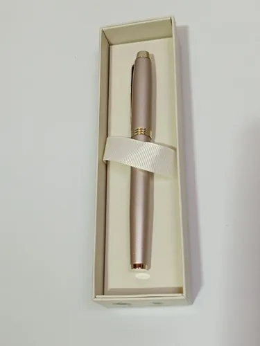 Parker IM Monochrome Fountain Pen Fine Tip Blue Ink - Champagne