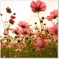 Pinnwände Weiß von banjado