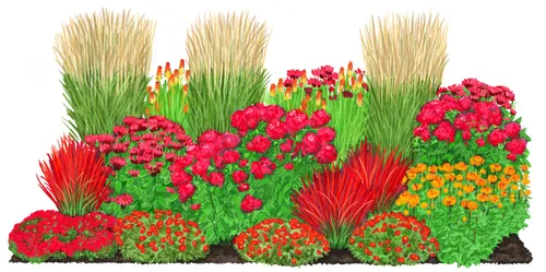 Dehner Bio Stauden-Set Feuerwerk – 24 mehrjährige Gartenpflanzen in leuchtenden Farben - Ein faszinierendes Stauden-Set mit 24 Pflanzen in rot, orange und gelb, ideal für ein prachtvolles Beet von ca. 5 m². Die winterharten Pflanzen blühen den ganzen Sommer und sind ein echter Blickfang im Garten.